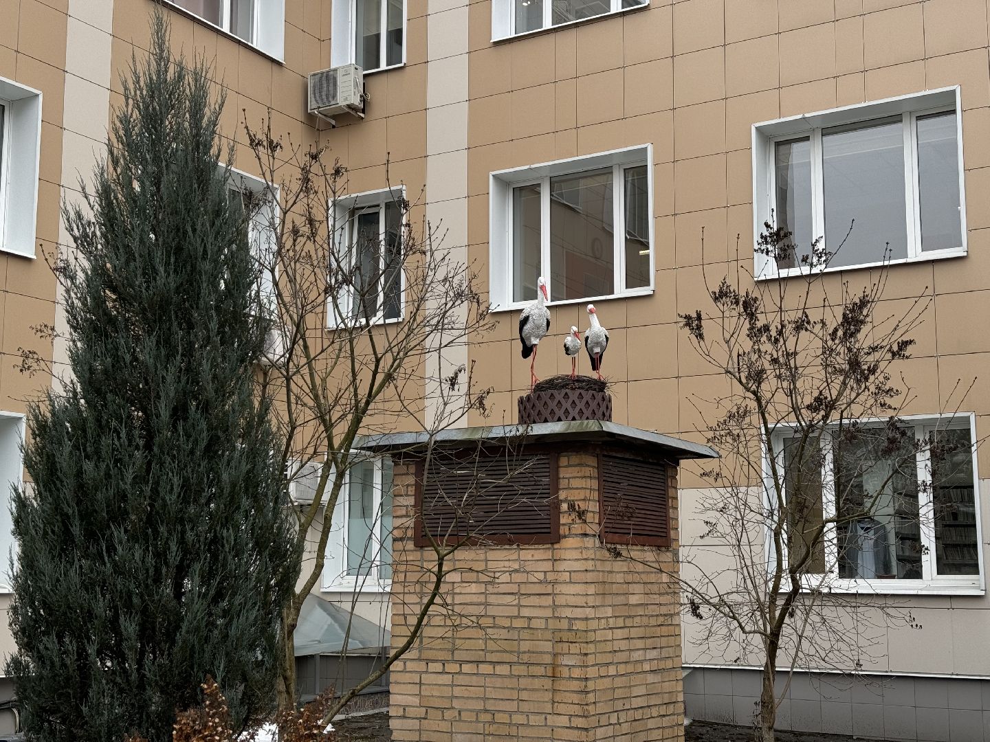 Фотовыставка, врач-неонатолог, видновский перинатальный центр,