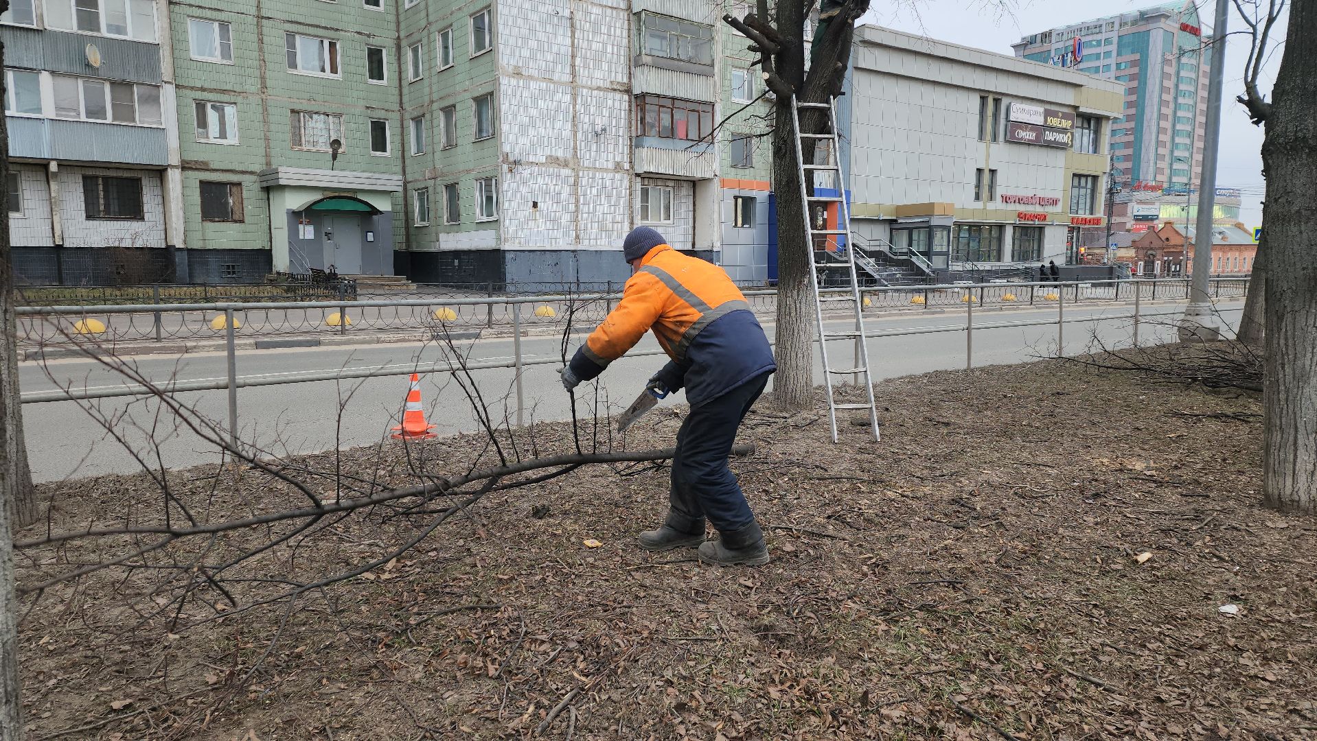 серпухов, подмосковье, кронирование,