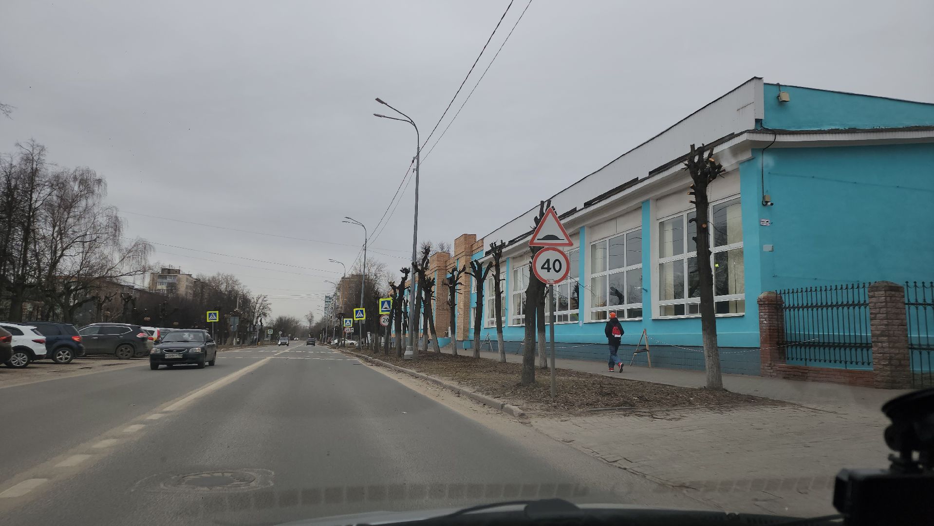 серпухов, подмосковье, кронирование,