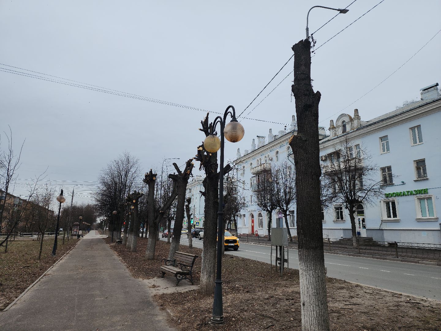 серпухов, подмосковье, кронирование,