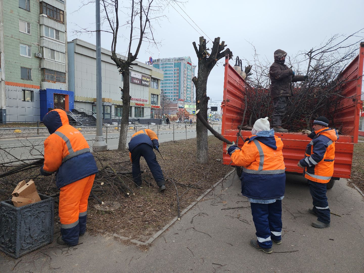 серпухов, подмосковье, кронирование,