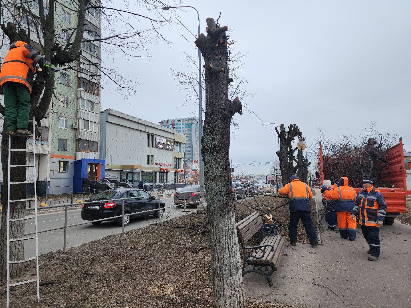 серпухов, подмосковье, кронирование,