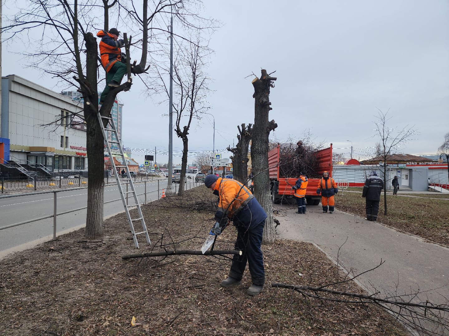 серпухов, подмосковье, кронирование,