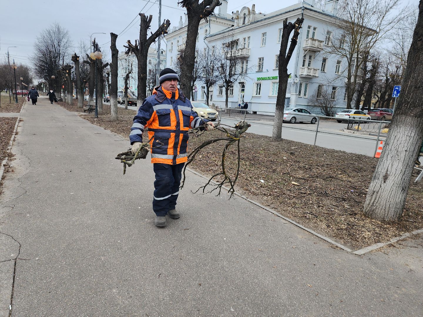 серпухов, подмосковье, кронирование,