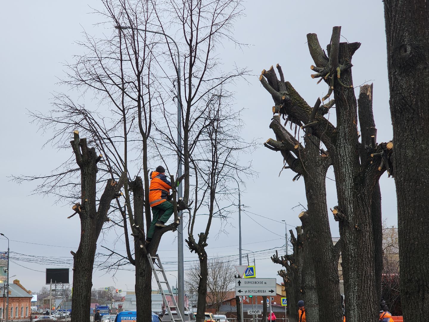 серпухов, подмосковье, кронирование,