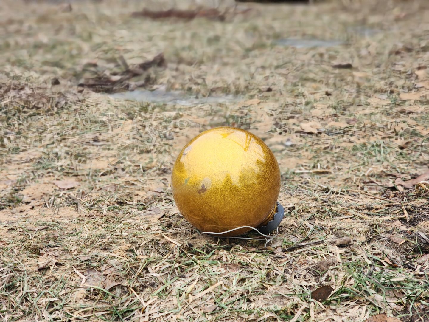 пущино, серпухов, новый год,