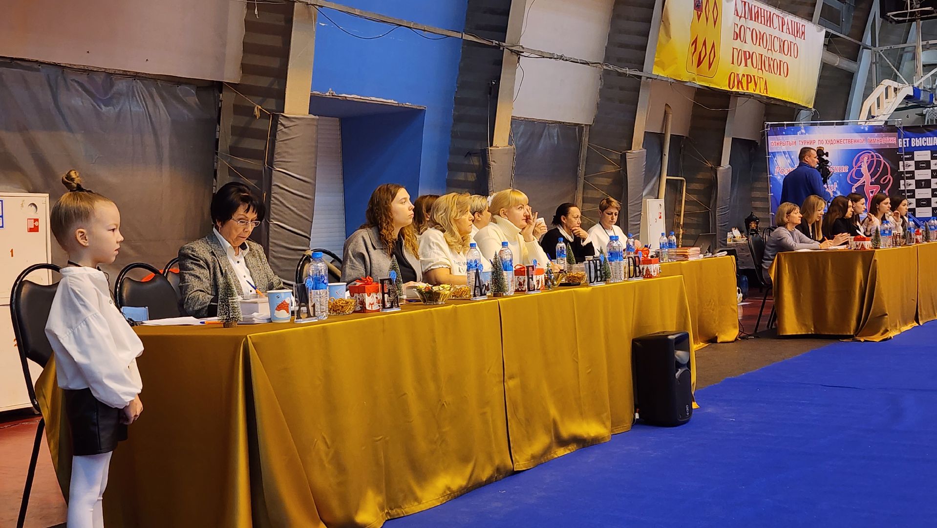 художественная гимнастика, турнир по художественной гимнастике, СОК Знамя, Ногинск, Богородский городской округ,