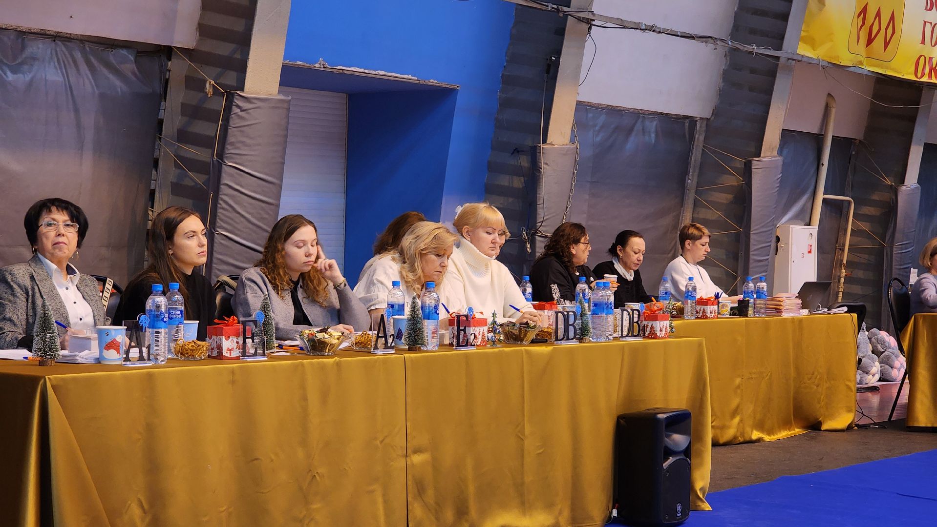 художественная гимнастика, турнир по художественной гимнастике, СОК Знамя, Ногинск, Богородский городской округ,