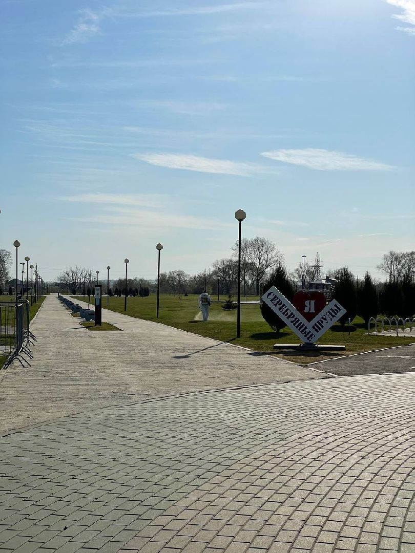 Серебряные Пруды, парк, клещи