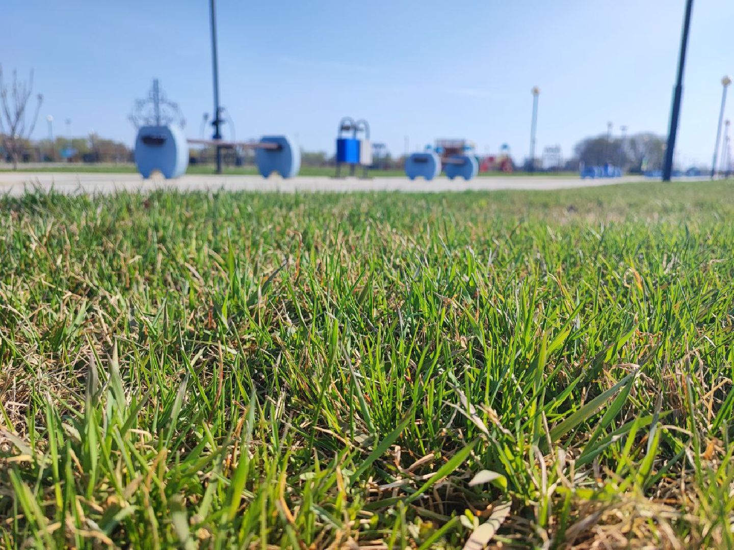 Серебряные Пруды, парк, клещи