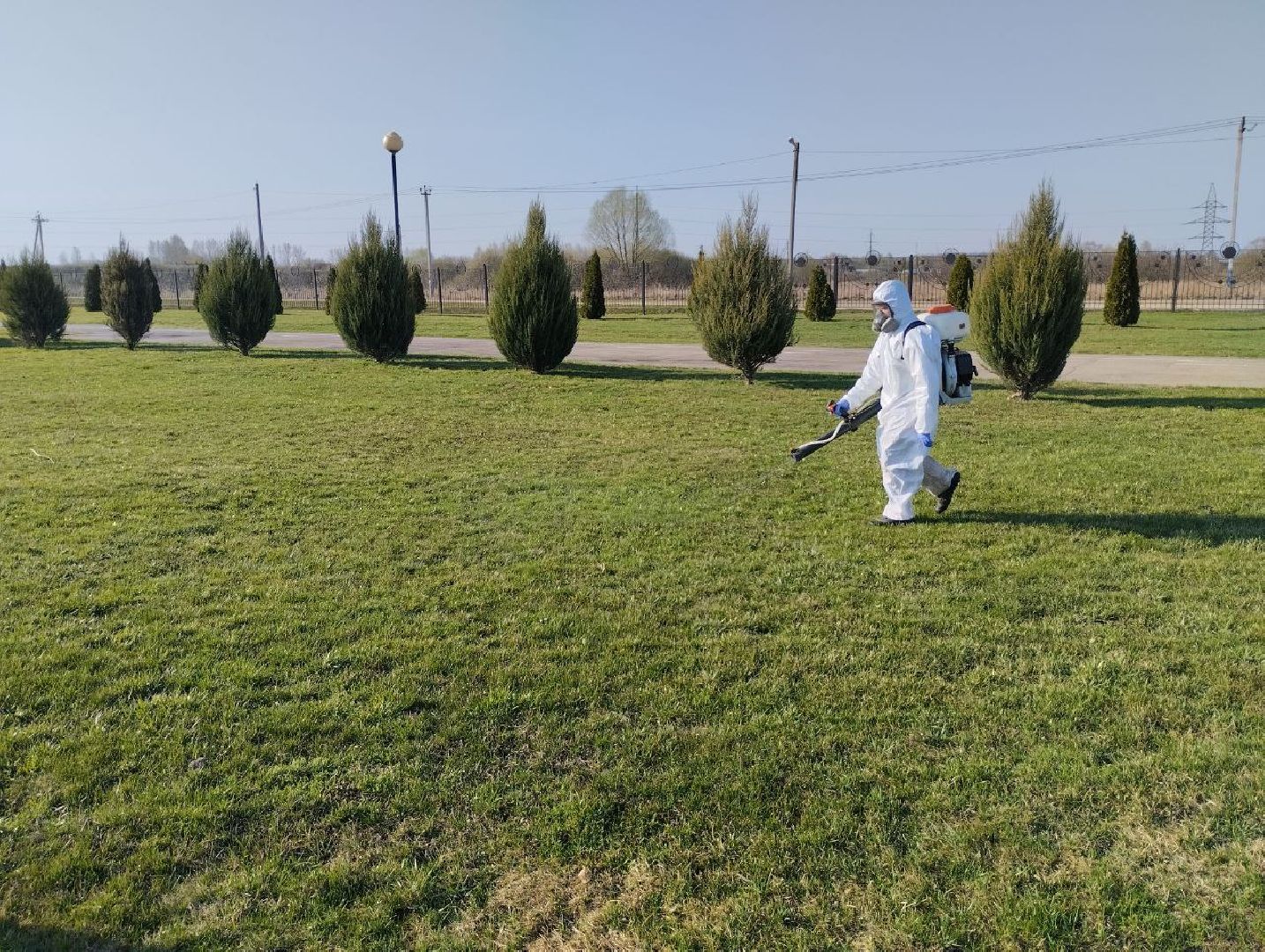 Серебряные Пруды, парк, клещи