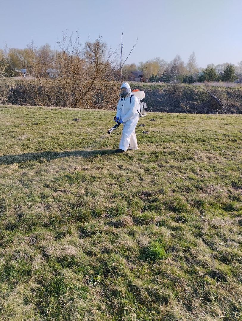 Серебряные Пруды, парк, клещи