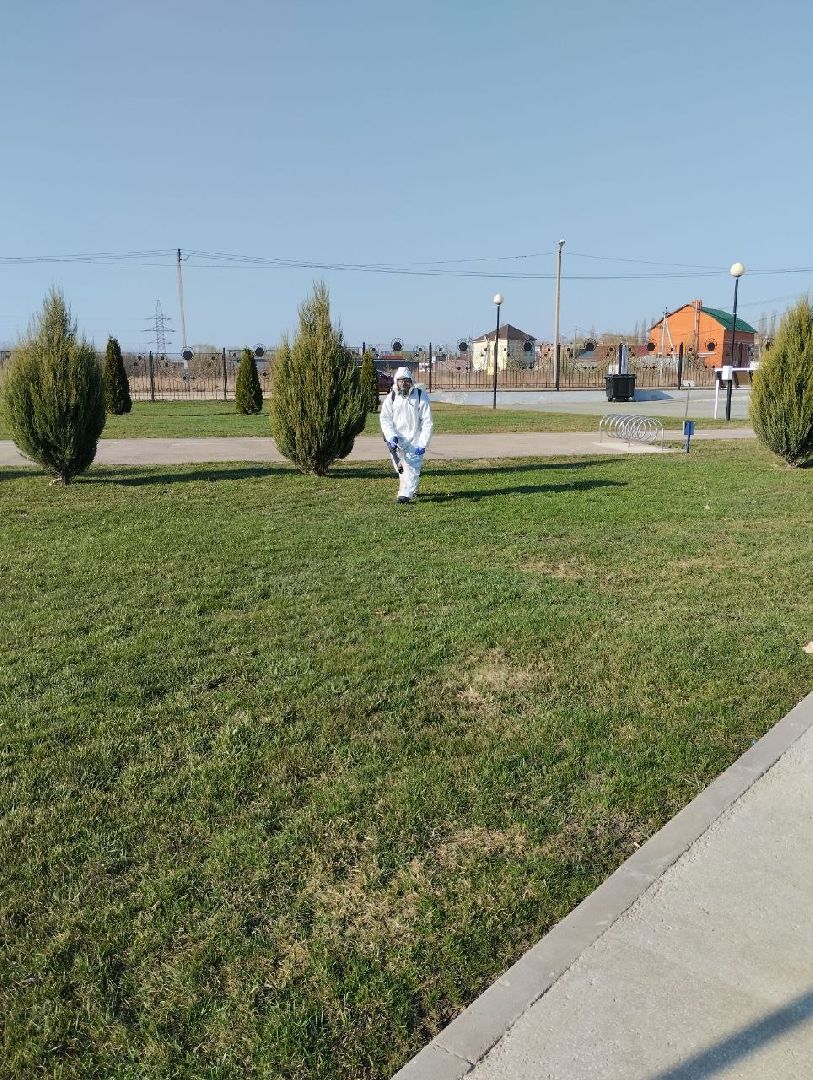 Серебряные Пруды, парк, клещи