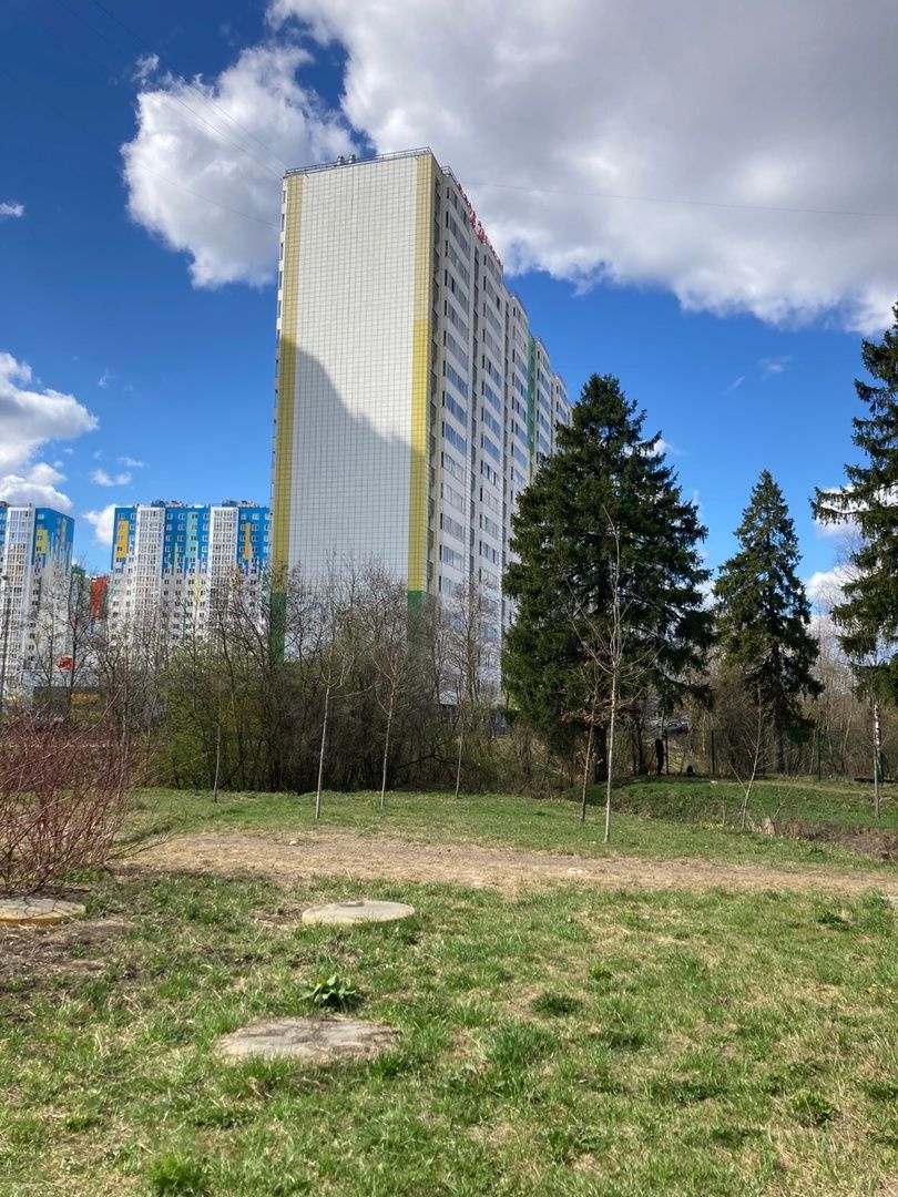 Солнечногорск, Голубое, благоустройство, дворники, деревня