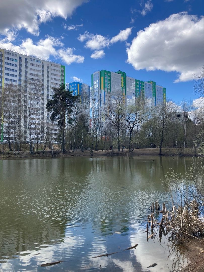 Солнечногорск, Голубое, благоустройство, дворники, деревня