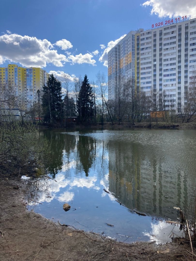 Солнечногорск, Голубое, благоустройство, дворники, деревня