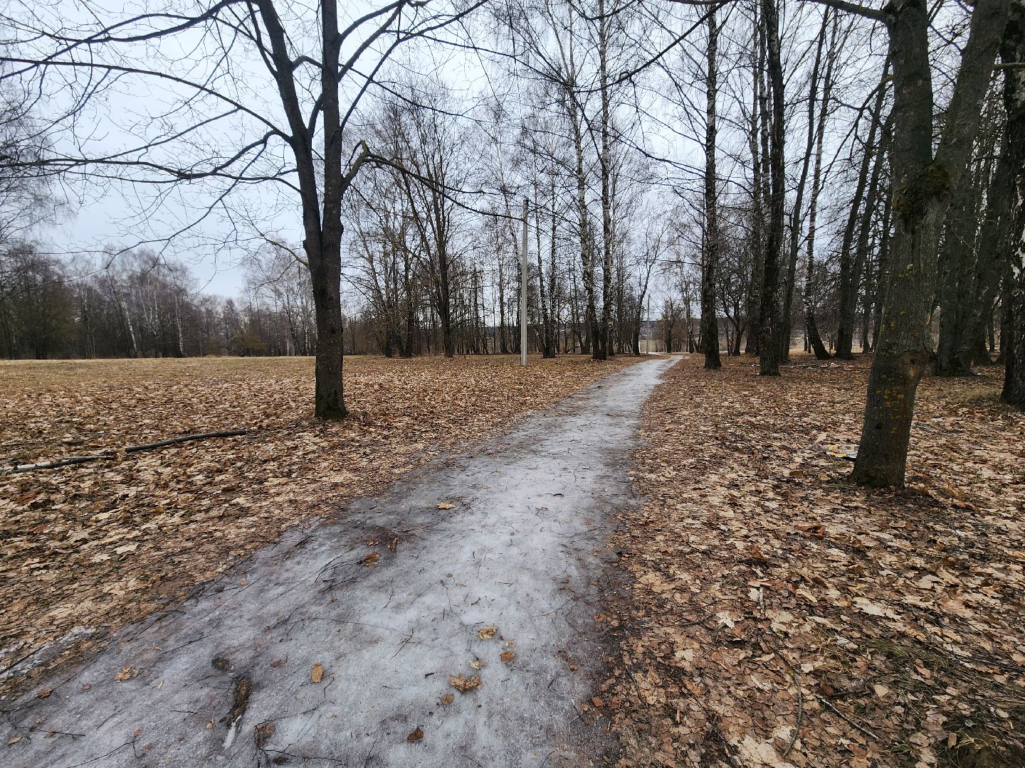 Коломна, благоустройство, парк,