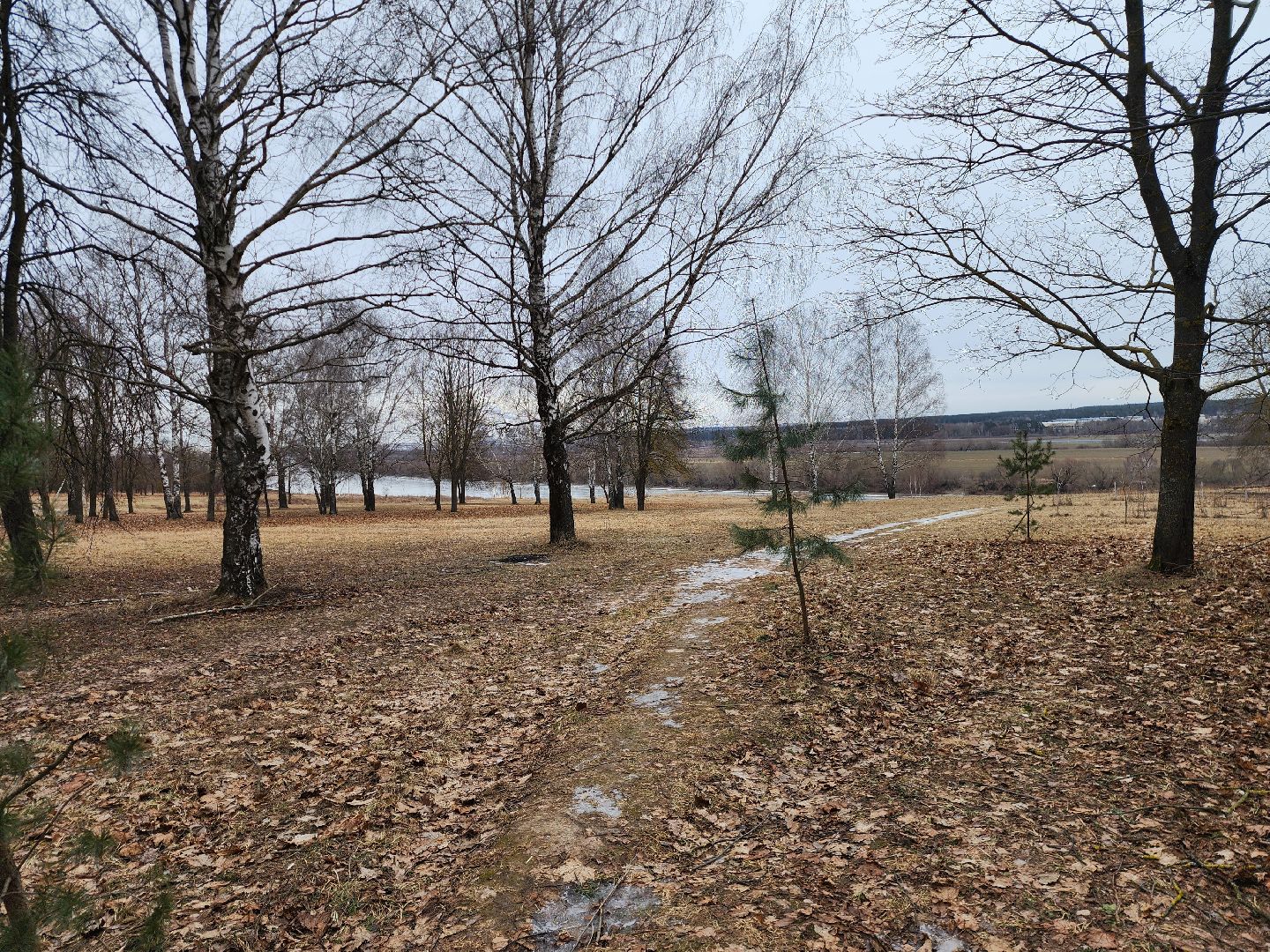 Коломна, благоустройство, парк,