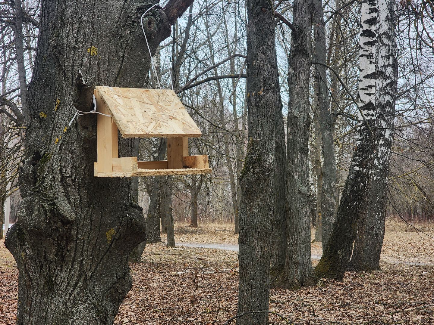 Коломна, благоустройство, парк,