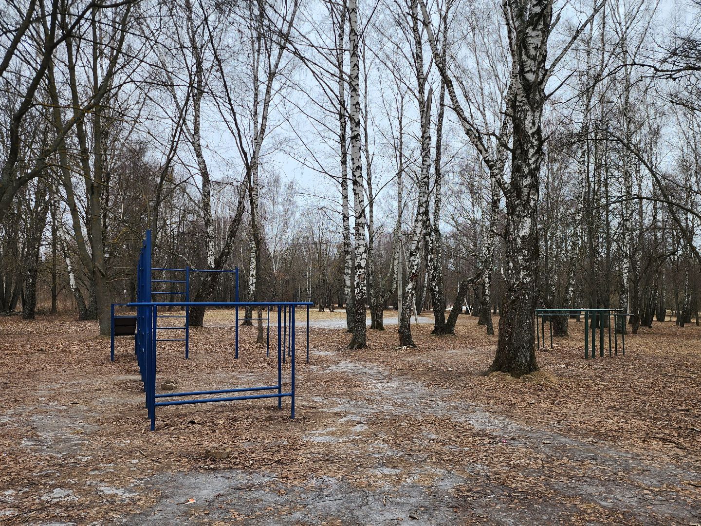 Коломна, благоустройство, парк,