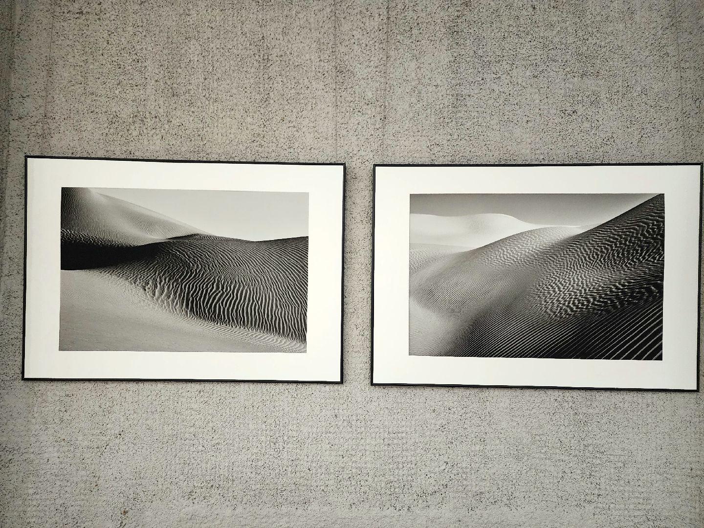 пущино, серпухов, дом ученых пущино, фотовыставка,