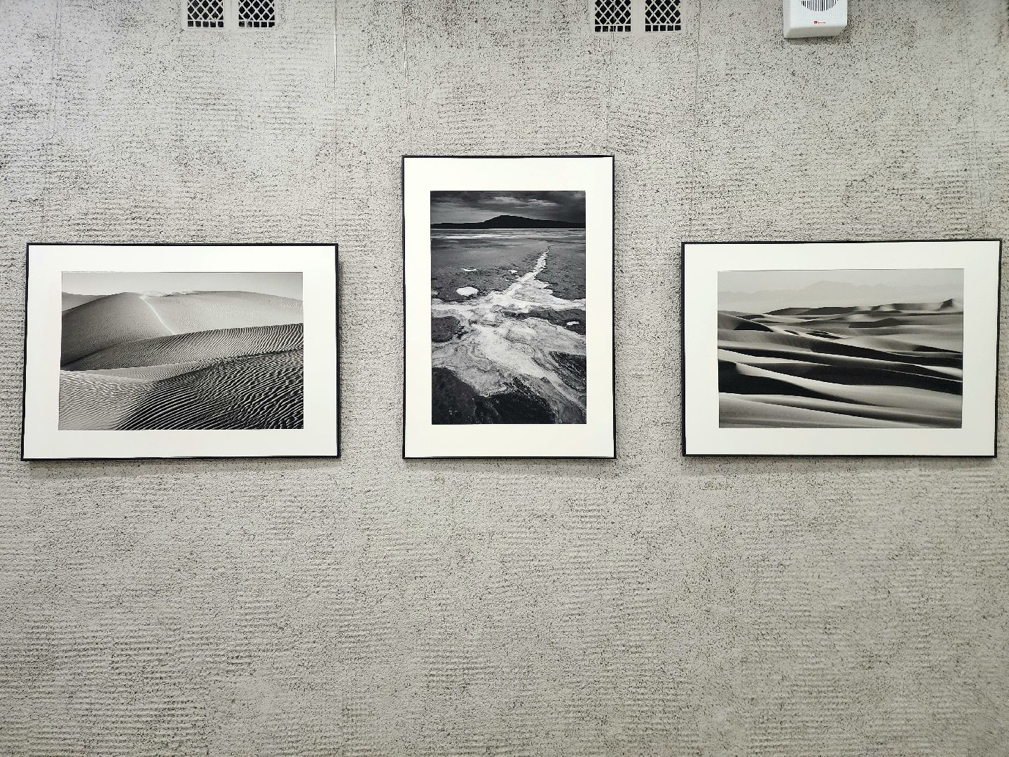 пущино, серпухов, дом ученых пущино, фотовыставка,