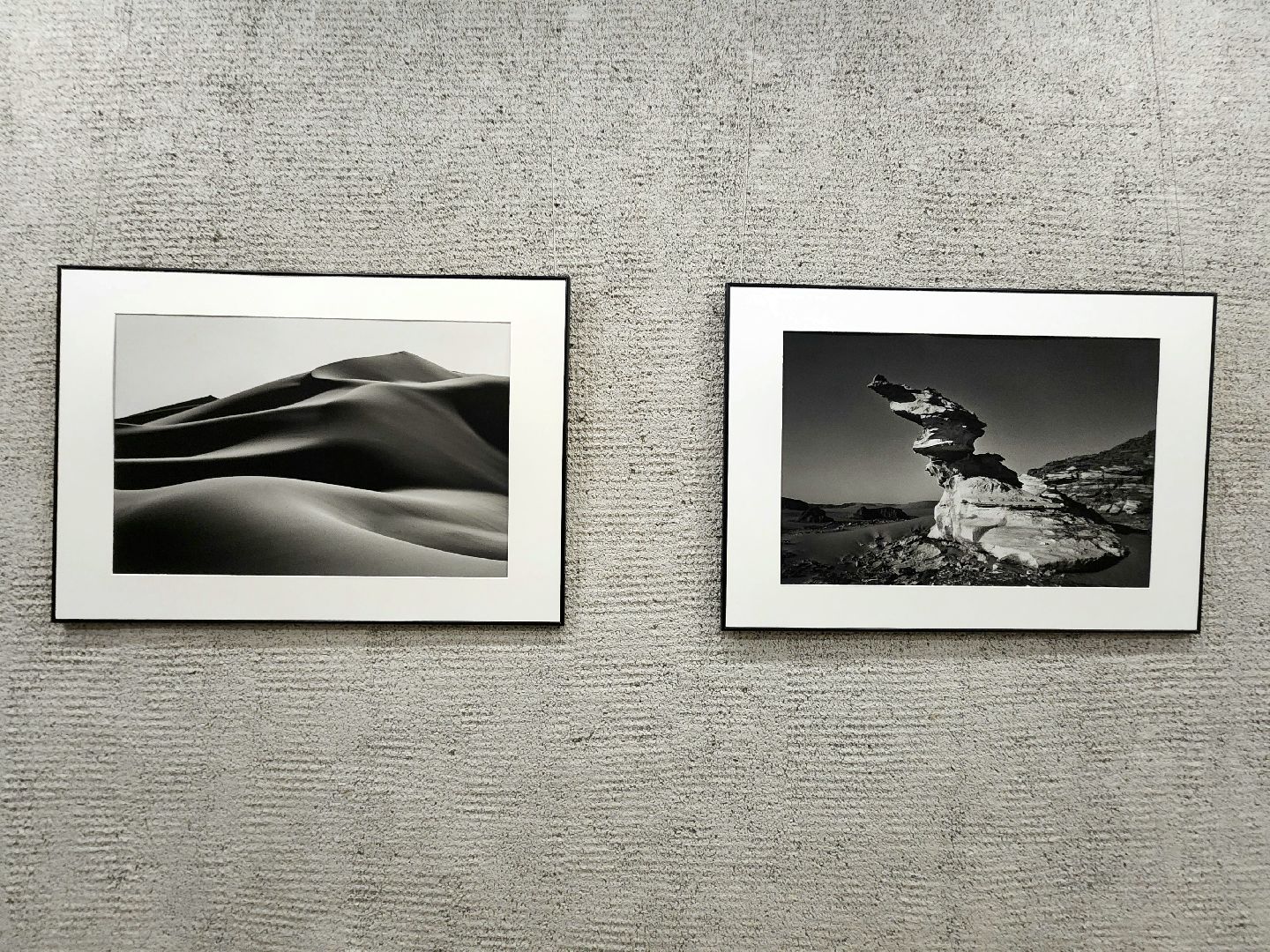 пущино, серпухов, дом ученых пущино, фотовыставка,