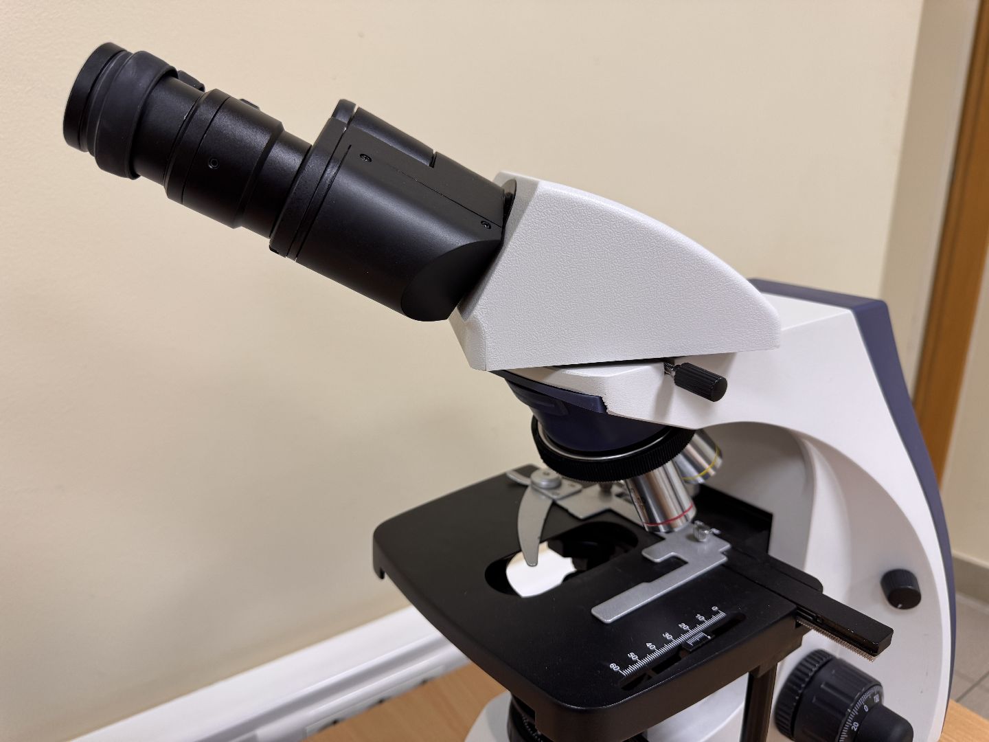 Одинцово, МГИМО-МЕД, День студента,