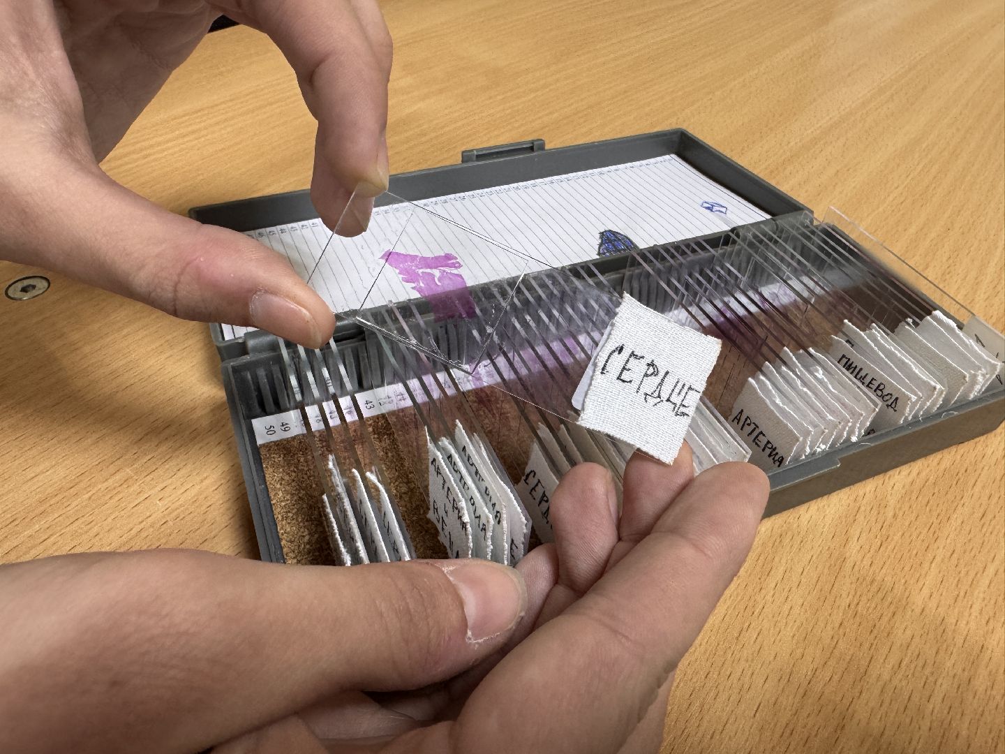 Одинцово, МГИМО-МЕД, День студента,