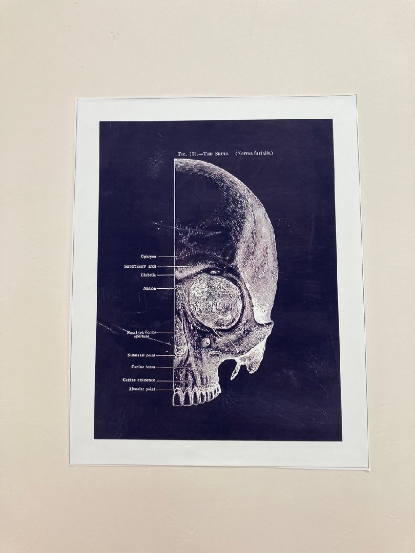 Солнечногорск, медицина, больница, врач, травматология