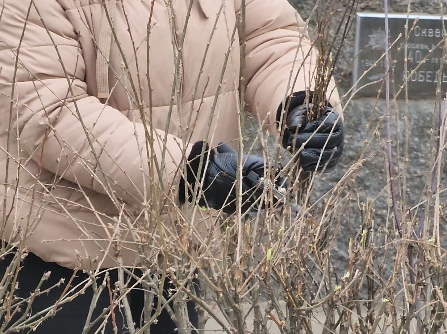 Дубна, Дети, Великая отечественная война, Память,