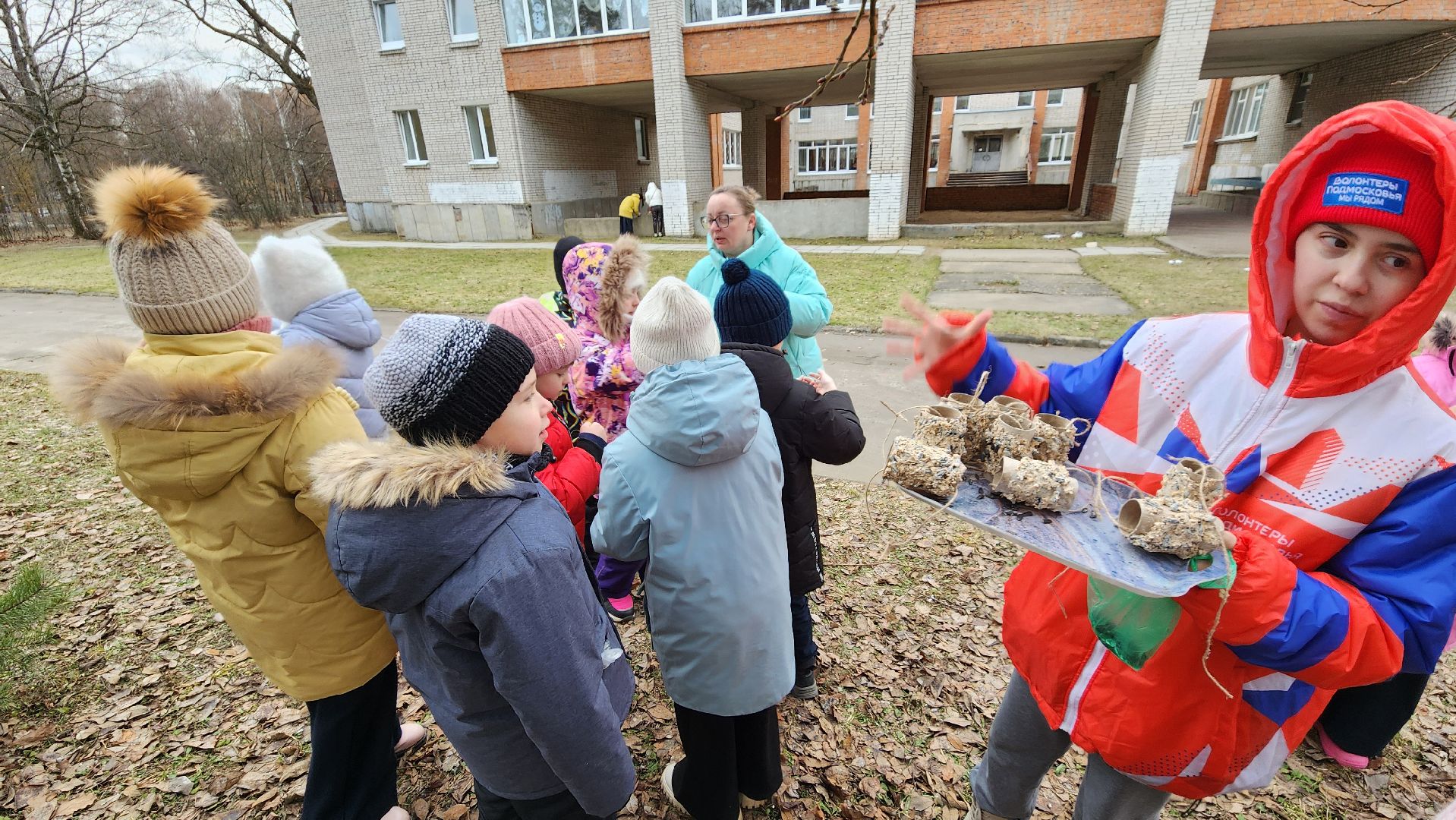 покорми птиц зимой, движение первых, орлята россии, гимназия протвино,