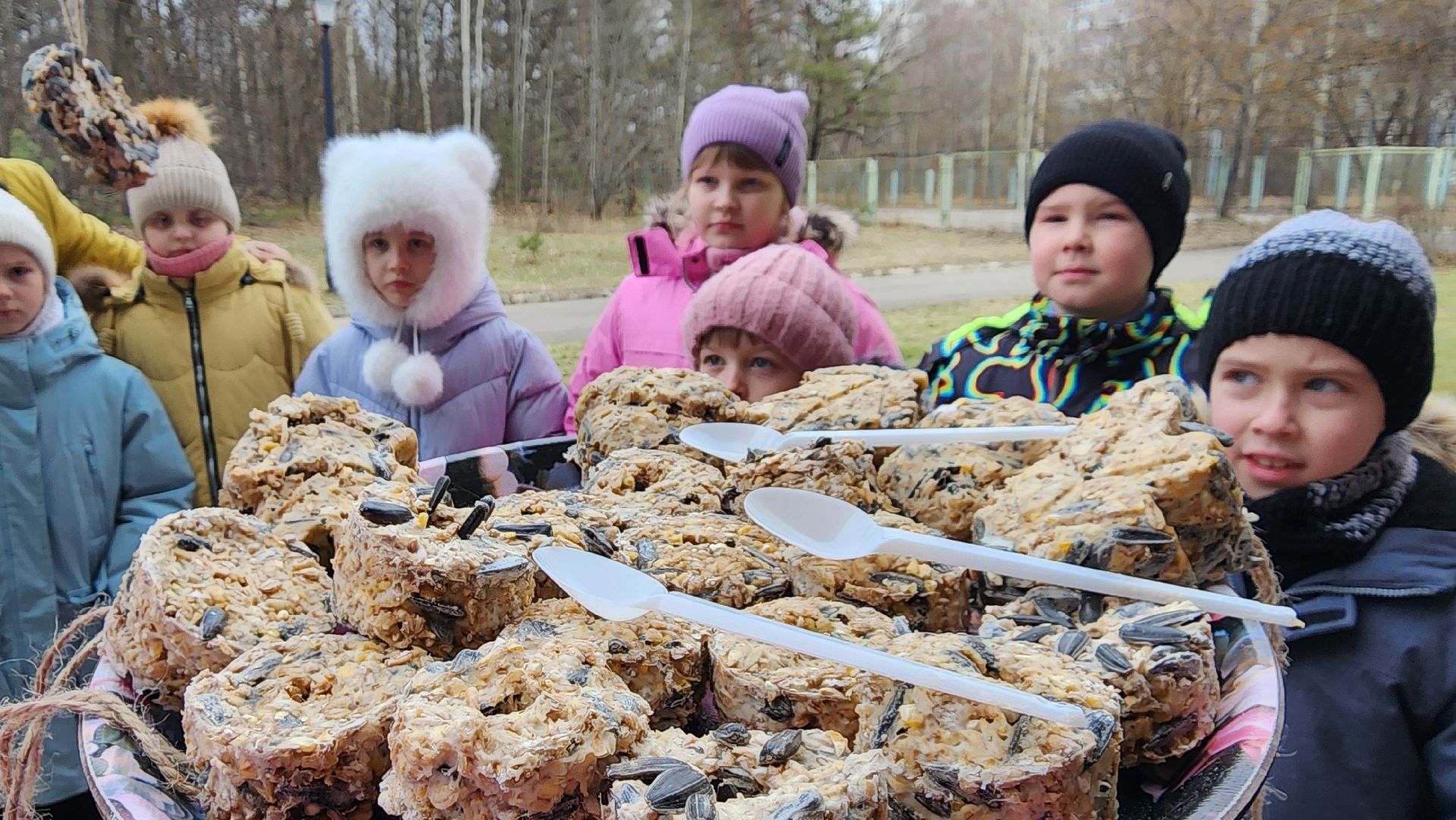 покорми птиц зимой, движение первых, орлята россии, гимназия протвино,