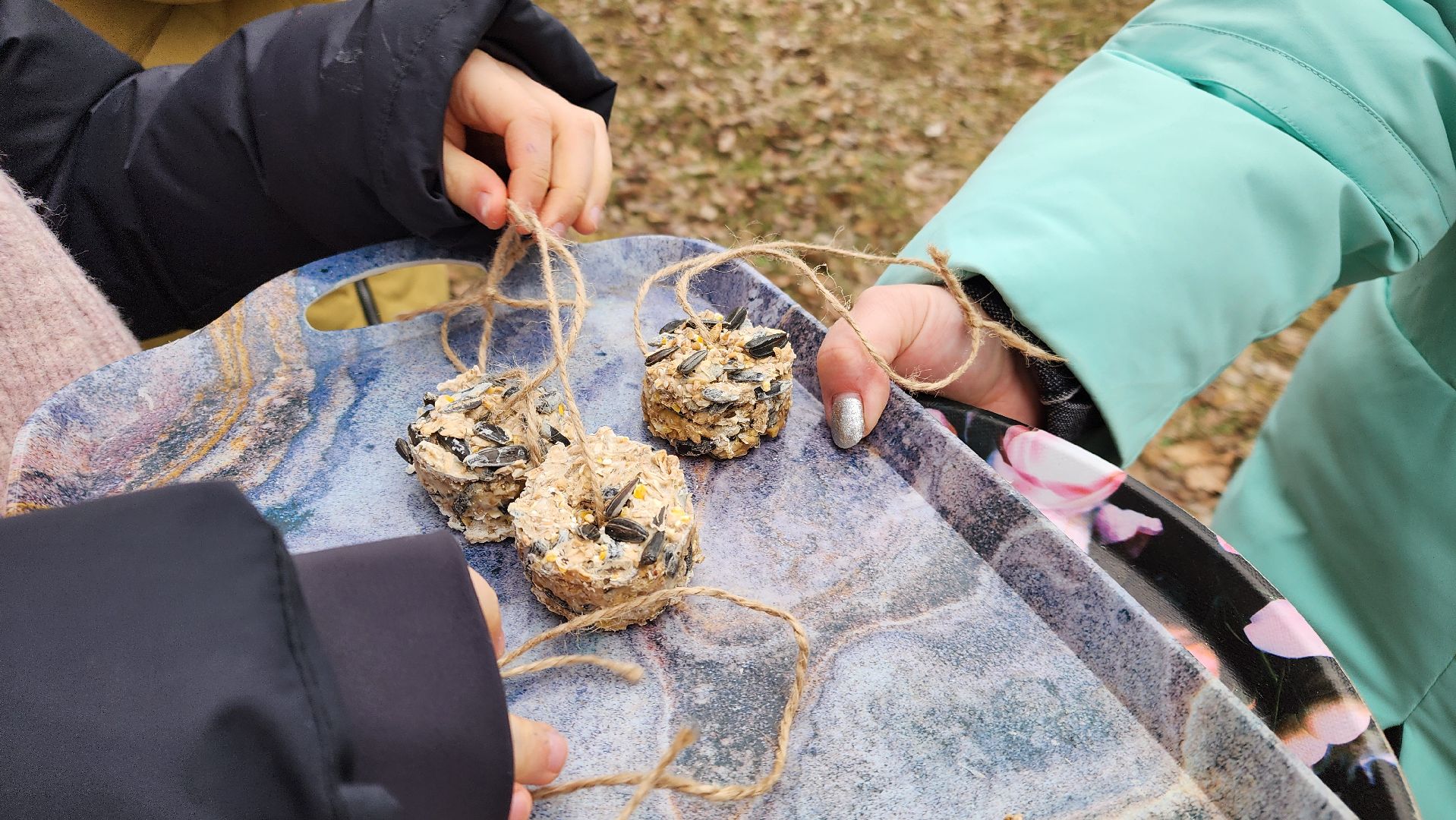 покорми птиц зимой, движение первых, орлята россии, гимназия протвино,