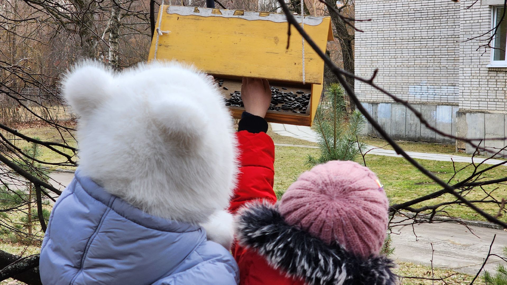 покорми птиц зимой, движение первых, орлята россии, гимназия протвино,