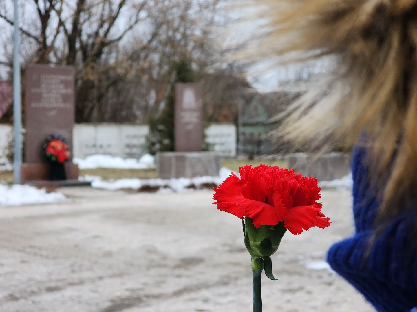 Егорьевск, Подмосковье, Московская область,вертикалки,