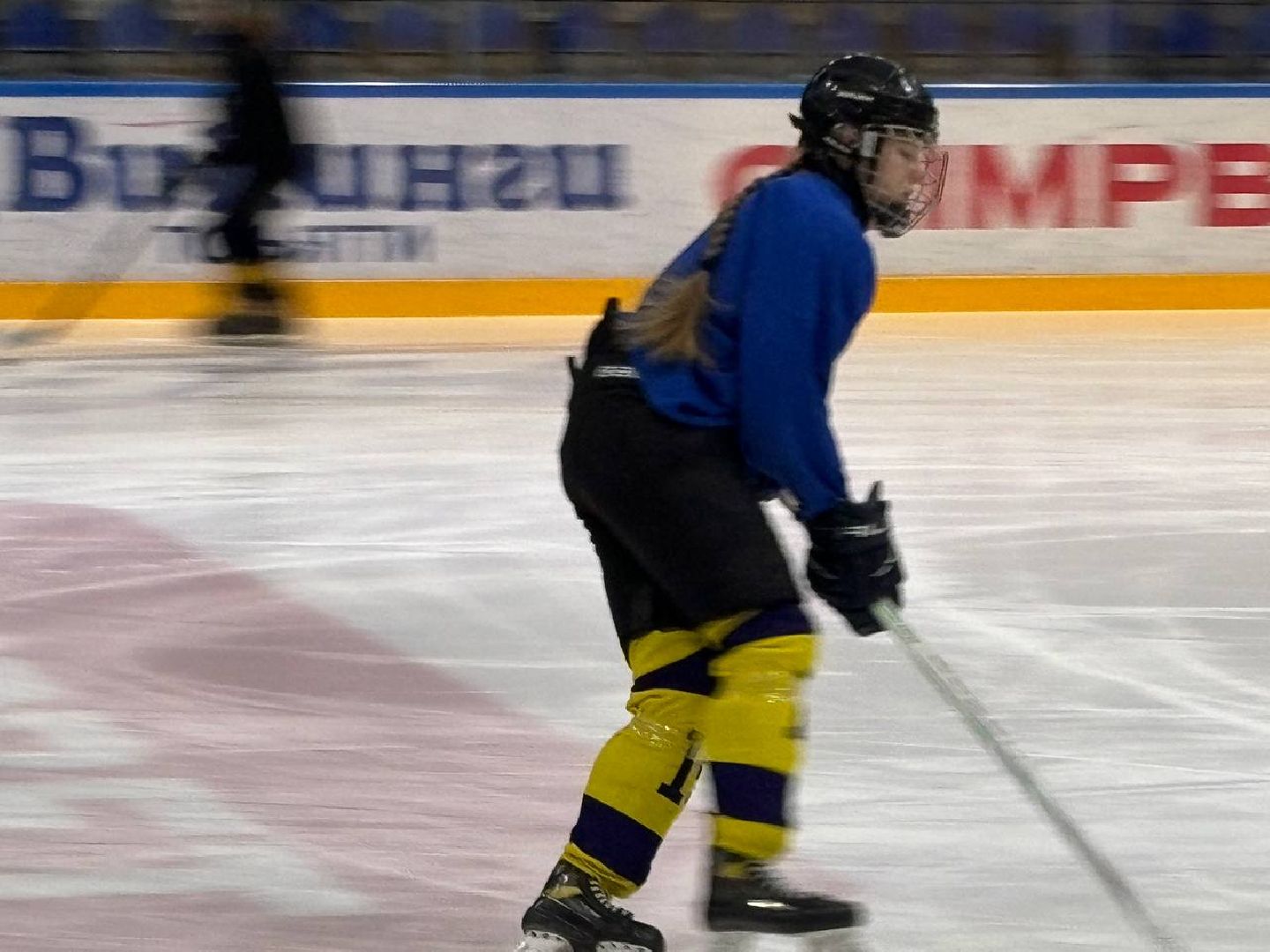 воскресенск, хоккей, овечкин,