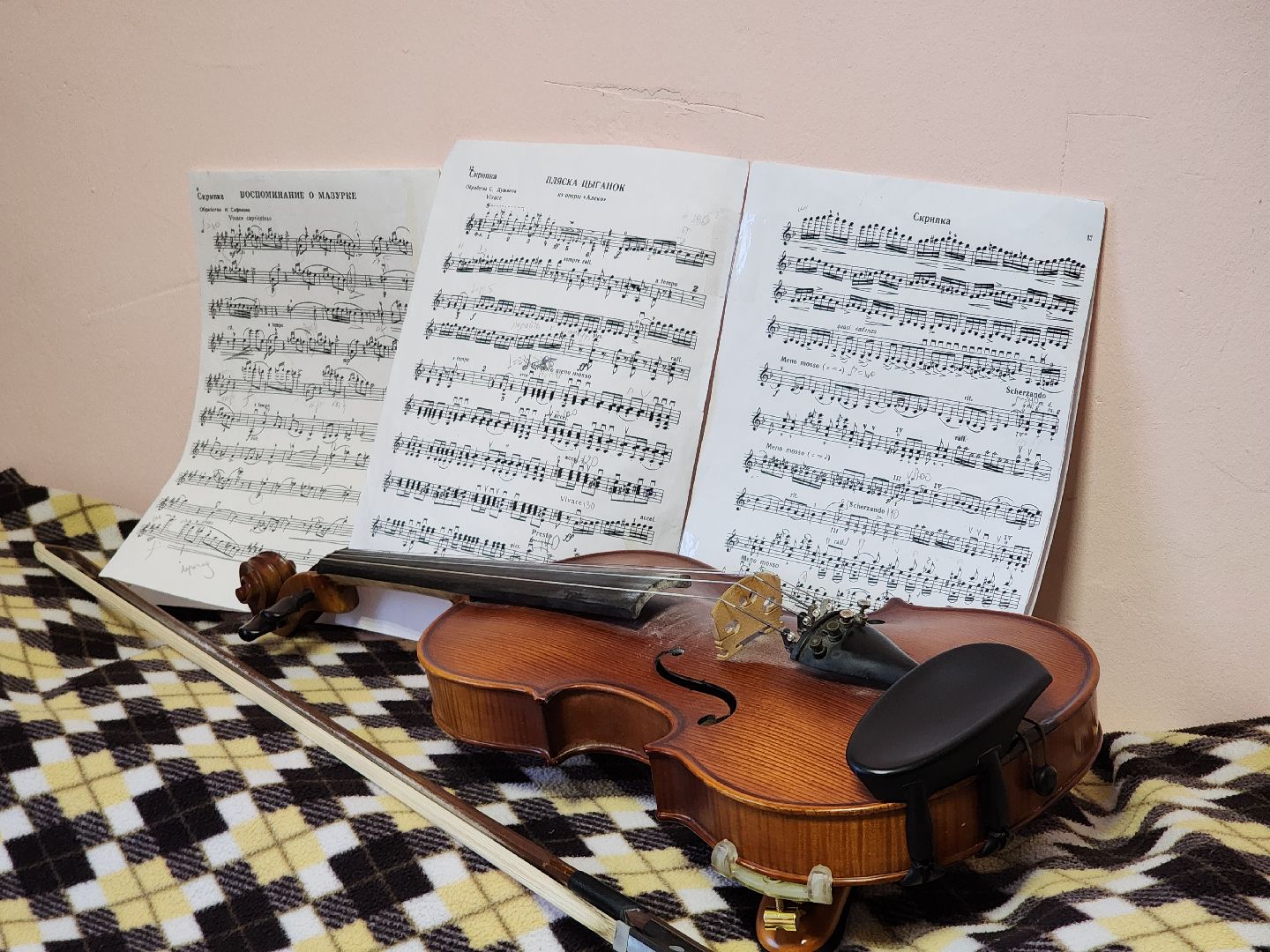 Студентка, Мпгу, Музыка,