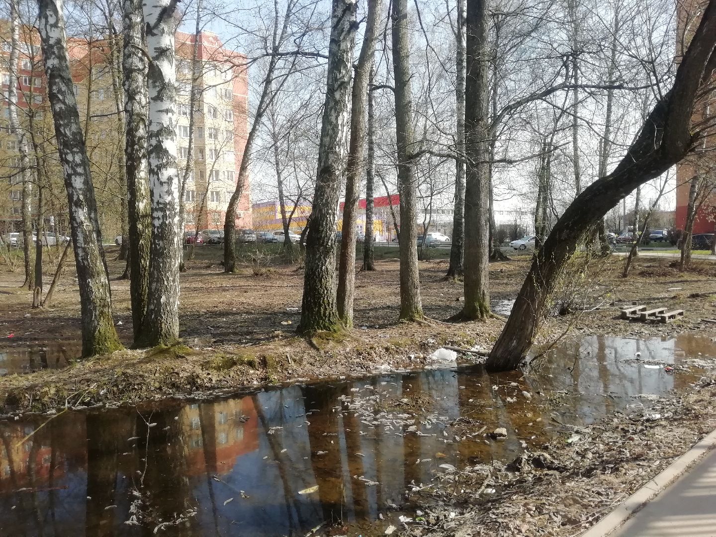 Звенигород, благоустройство, комфортная городская среда, сквер