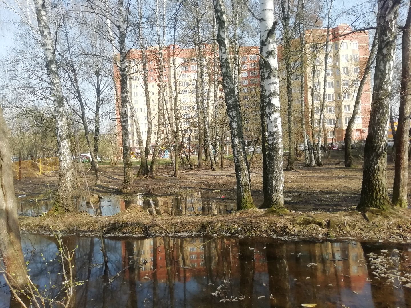 Звенигород, благоустройство, комфортная городская среда, сквер