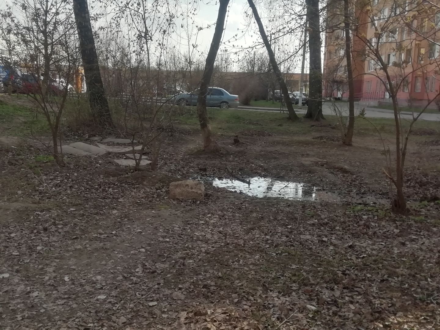 Звенигород, благоустройство, комфортная городская среда, сквер