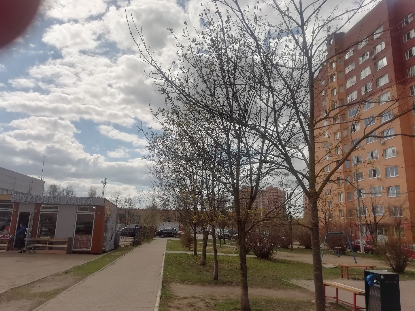 Звенигород, благоустройство, комфортная городская среда, сквер