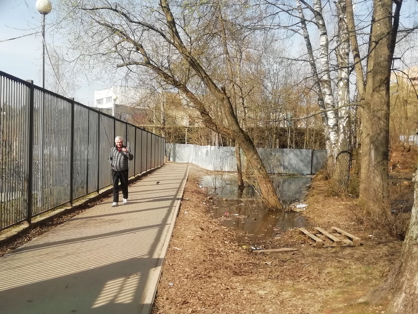 Звенигород, благоустройство, комфортная городская среда, сквер