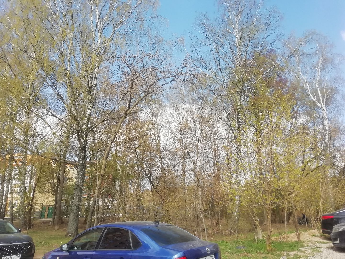 Звенигород, благоустройство, комфортная городская среда, сквер