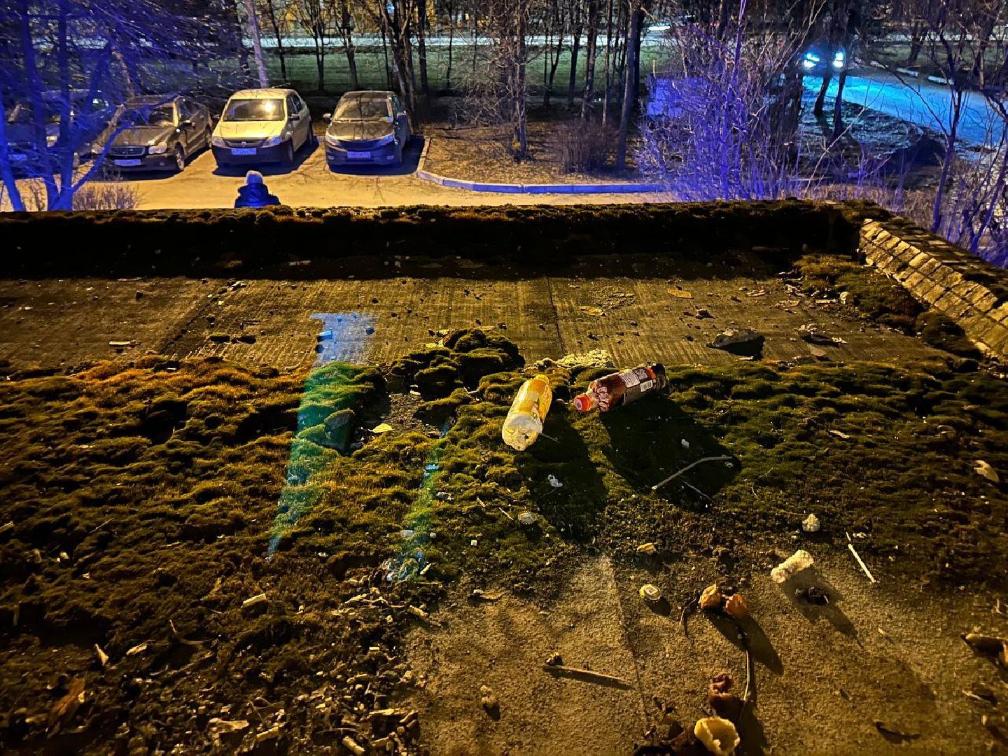 выездная администрация, благоустройство,