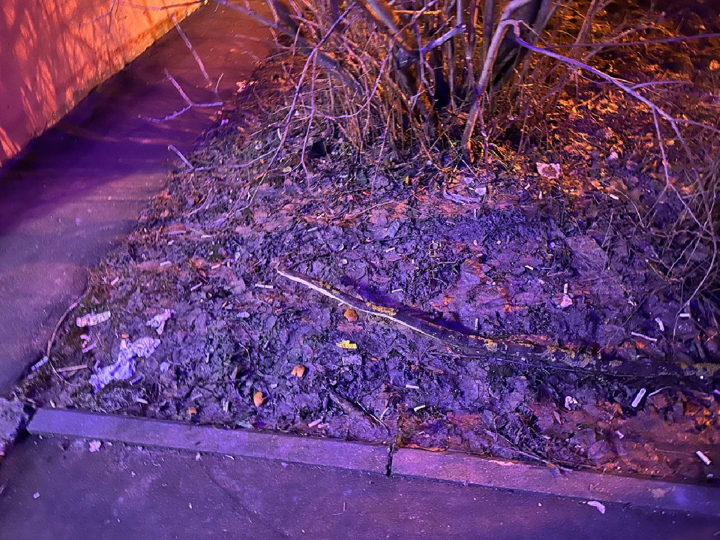 выездная администрация, благоустройство,