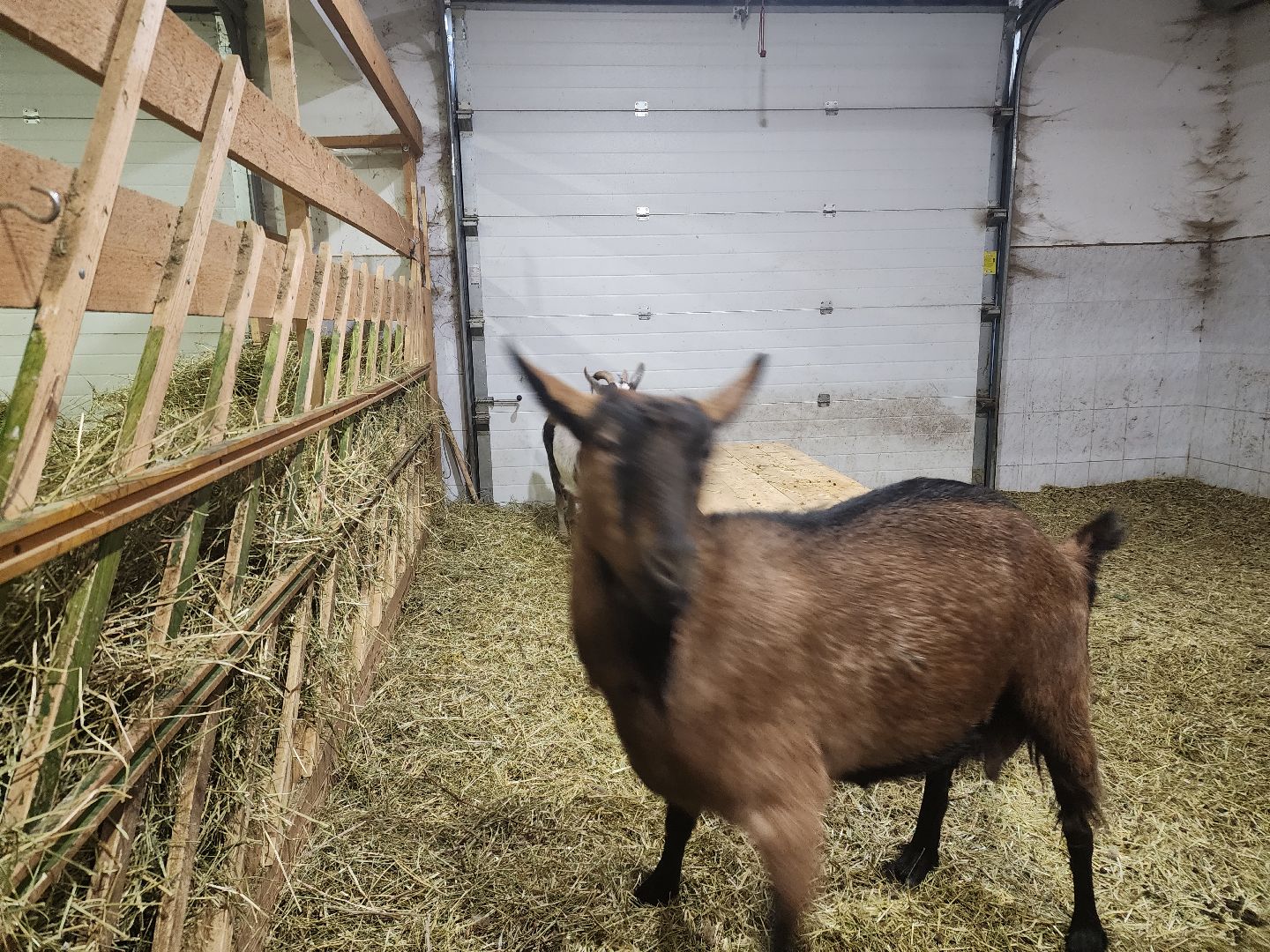Зарайск,Гончарная мастерская Зарайска, Керамическая мастерская Зарайска,