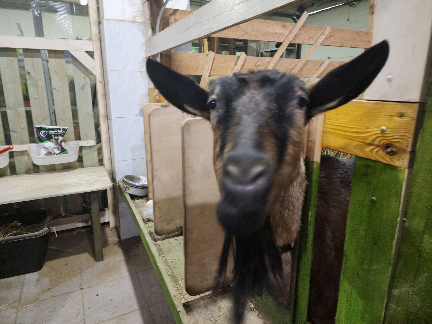 Зарайск,Гончарная мастерская Зарайска, Керамическая мастерская Зарайска,