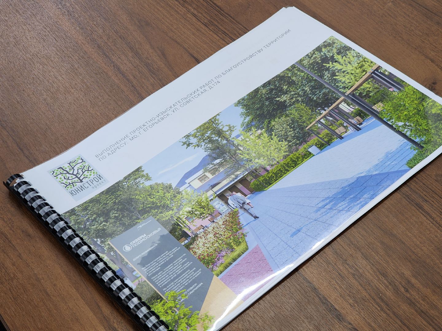 Егорьевск, Подмосковье, Московская область, вертикалки,