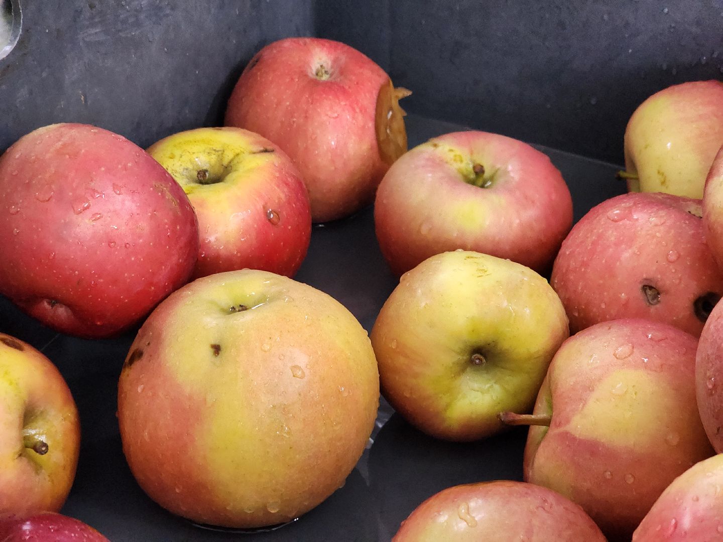 Снеки, Луховицы, Экономика, Производство снеков, Белоомут, вертикалки